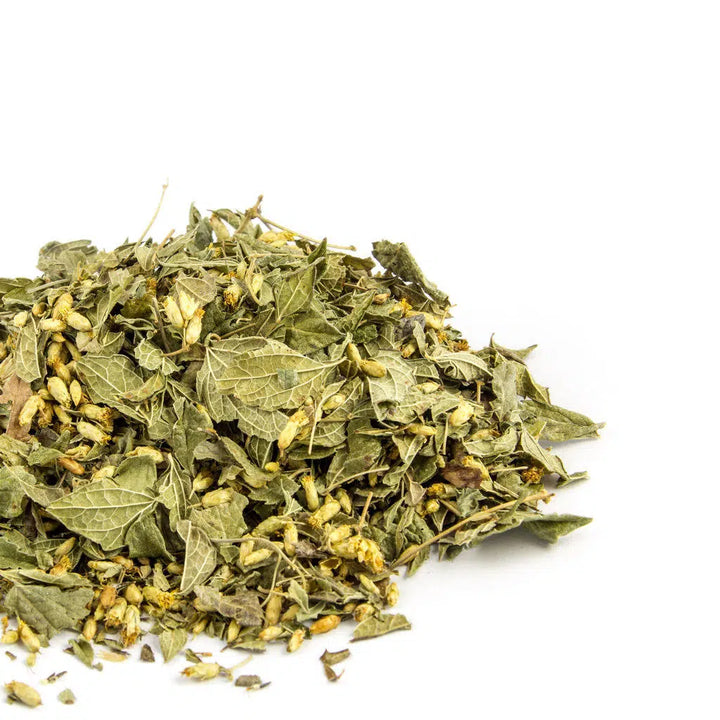 Organic Mexican Dream Herb